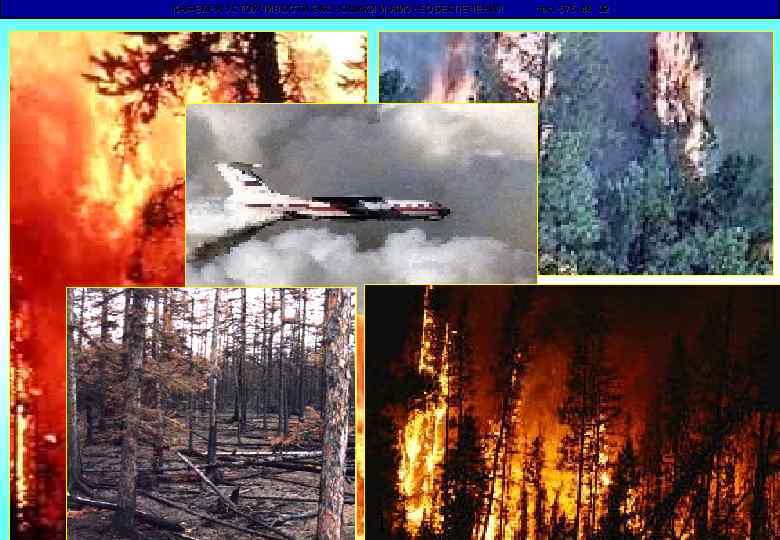 КАФЕДРА УСТОЙЧИВОСТИ ЭКОНОМИКИ И ЖИЗНЕОБЕСПЕЧЕНИЯ тел. 575 48 02 