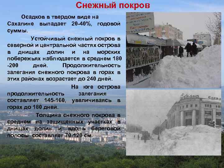 Снежный покров Осадков в твердом виде на Сахалине выпадает 20 -40%, годовой суммы. Устойчивый