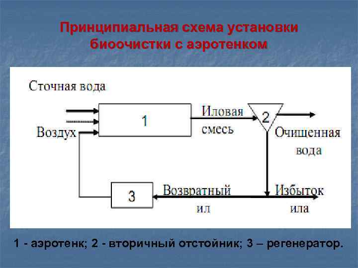 Принципиальная схема установки биоочистки с аэротенком 1 - аэротенк; 2 - вторичный отстойник; 3