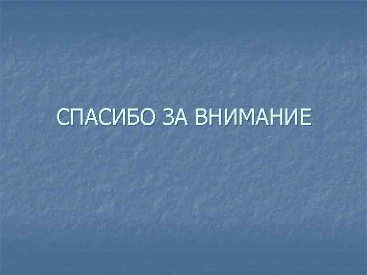 СПАСИБО ЗА ВНИМАНИЕ 