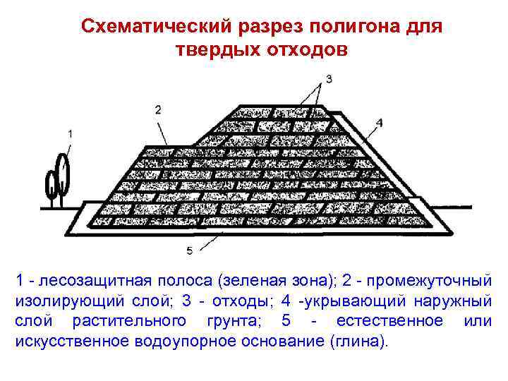 Схематический разрез полигона для твердых отходов 1 - лесозащитная полоса (зеленая зона); 2 -