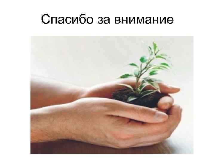 Спасибо за внимание 