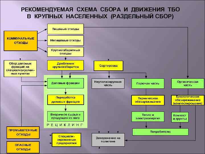 РЕКОМЕНДУЕМАЯ СХЕМА СБОРА И ДВИЖЕНИЯ ТБО В КРУПНЫХ НАСЕЛЕННЫХ (РАЗДЕЛЬНЫЙ СБОР) 