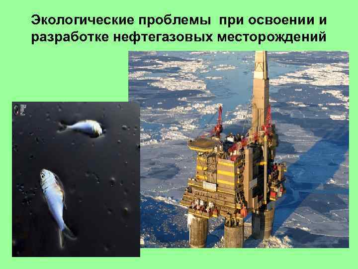 Экологические проблемы при освоении и разработке нефтегазовых месторождений 