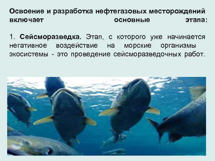Освоение и разработка нефтегазовых месторождений включает основные этапа: 1. Сейсморазведка. Этап, с которого уже