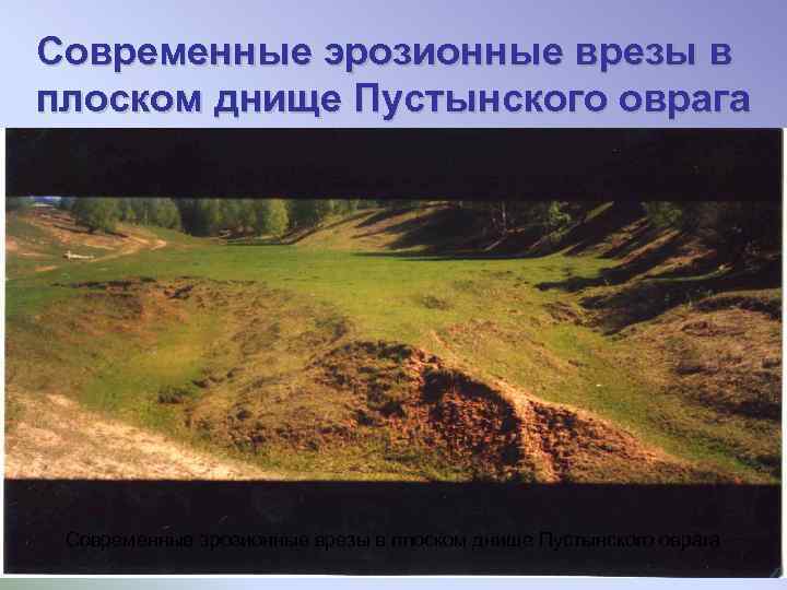 Современные эрозионные врезы в плоском днище Пустынского оврага 