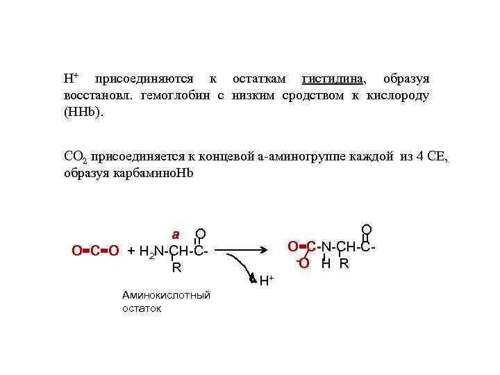 Н+ присоединяются к остаткам гистидина, образуя восстановл. гемоглобин с низким сродством к кислороду (НHb).