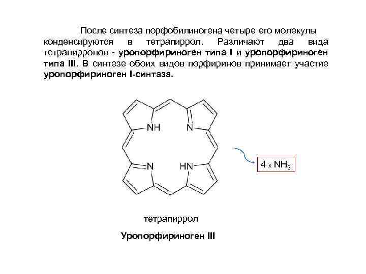 После синтеза порфобилиногена четыре его молекулы конденсируются в тетрапиррол. Различают два вида тетрапирролов -
