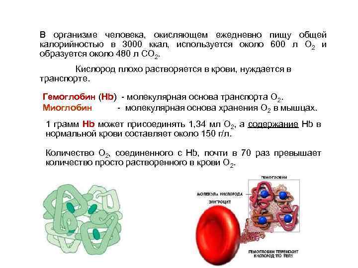 В организме человека, окисляющем ежедневно пищу общей калорийностью в 3000 ккал, используется около 600