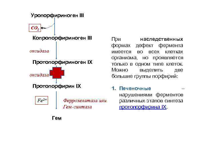 Уропорфириноген III СО 2 Копропорфириноген III оксидаза Протопорфириноген IX оксидаза Протопорфирин IX При наследственных
