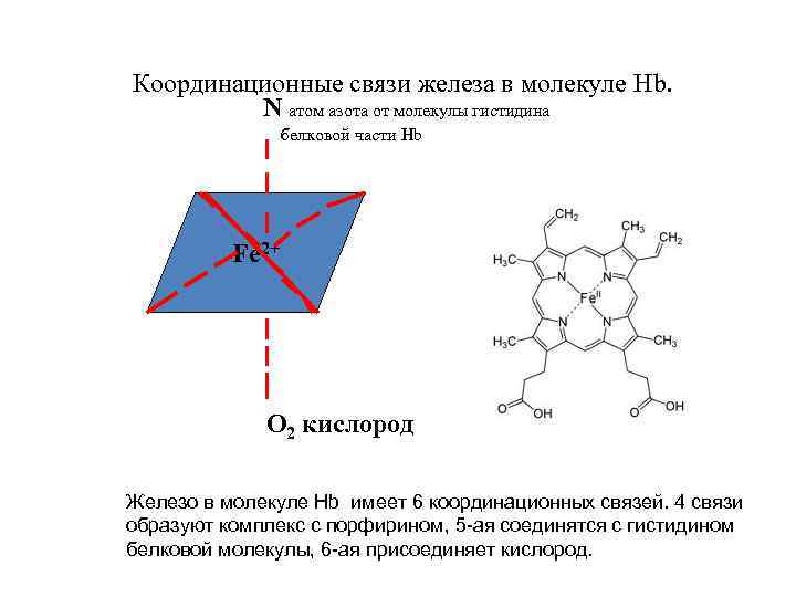 Координационная связь схема