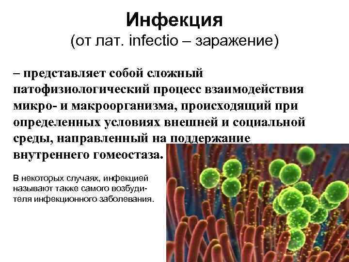 Инфекция (от лат. infectio – заражение) – представляет собой сложный патофизиологический процесс взаимодействия микро-