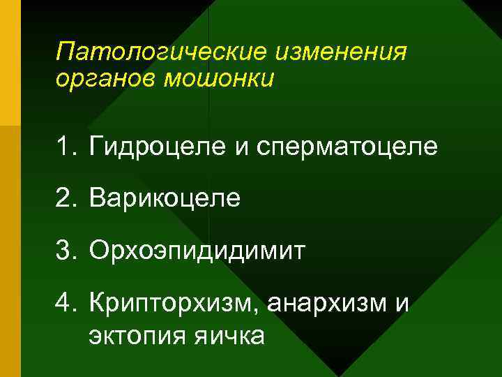 Патологические изменения органов мошонки 1. Гидроцеле и сперматоцеле 2. Варикоцеле 3. Орхоэпидидимит 4. Крипторхизм,
