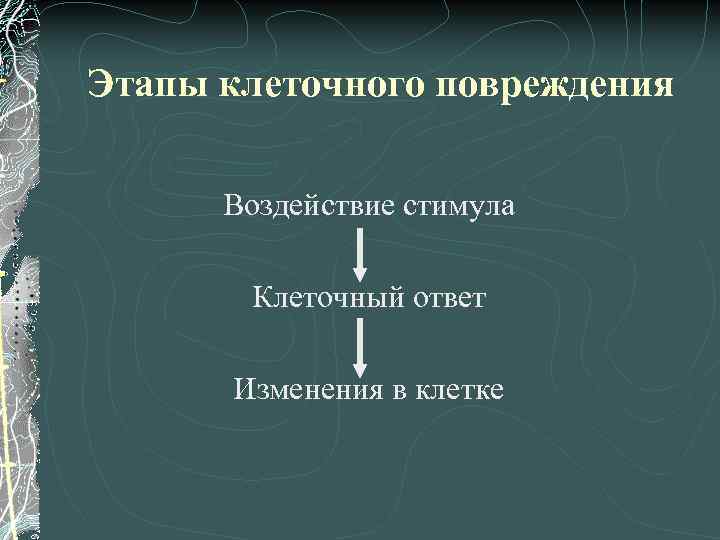 Этапы клеточного повреждения Воздействие стимула Клеточный ответ Изменения в клетке 
