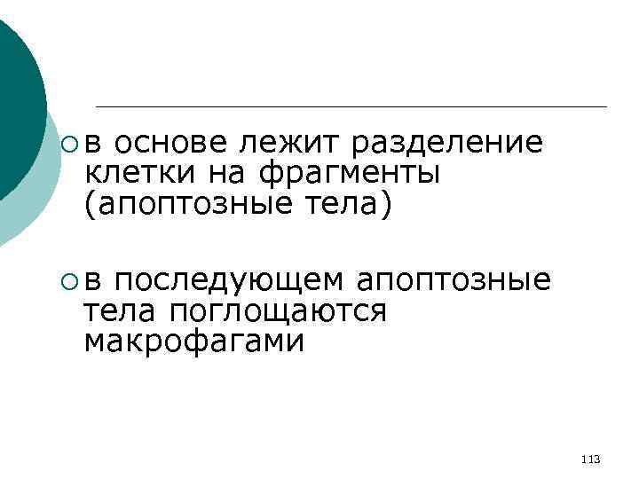 ¡в основе лежит разделение клетки на фрагменты (апоптозные тела) ¡в последующем апоптозные тела поглощаются