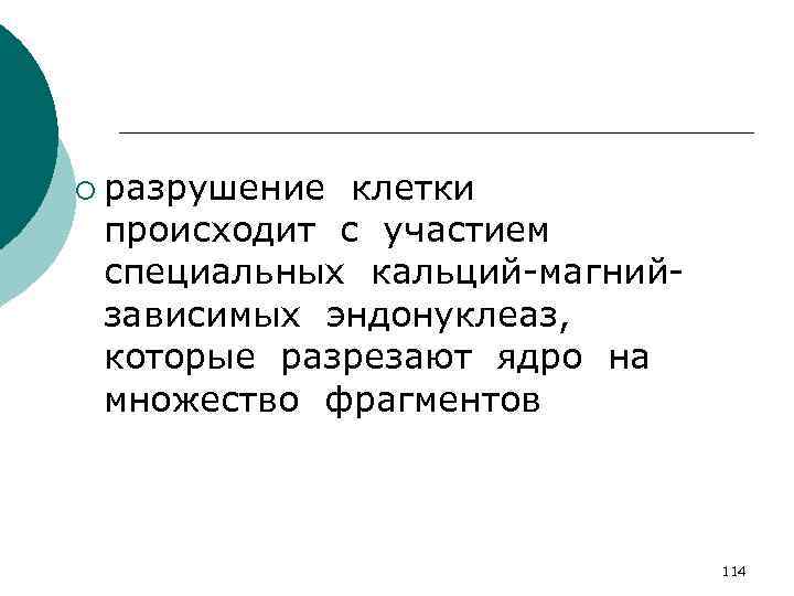 ¡ разрушение клетки происходит с участием специальных кальций-магнийзависимых эндонуклеаз, которые разрезают ядро на множество