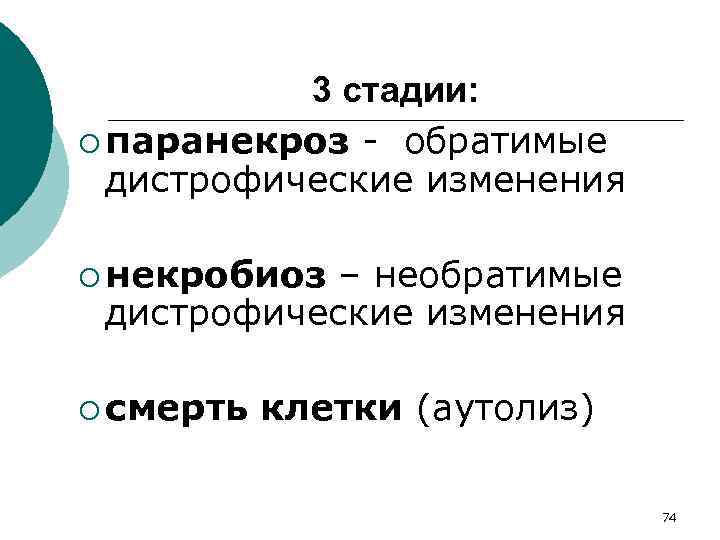 3 стадии: ¡ паранекроз - обратимые дистрофические изменения ¡ некробиоз – необратимые дистрофические изменения