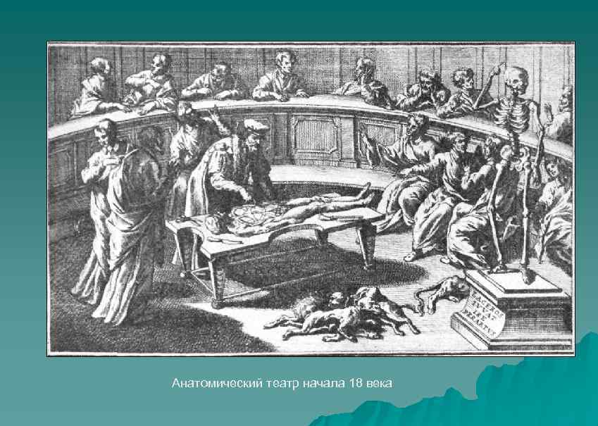 Анатомический театр начала 18 века 
