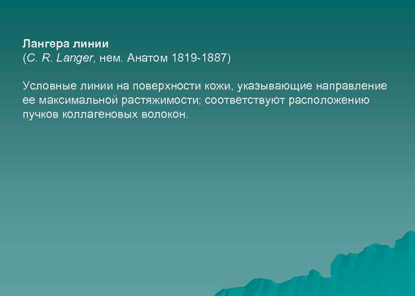 Лангера линии (С. R. Langer, нем. Анатом 1819 -1887) Условные линии на поверхности кожи,