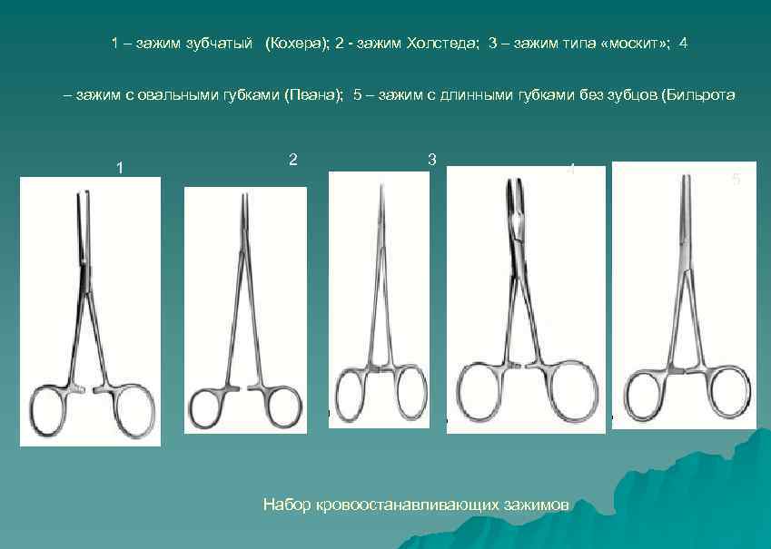  1 – зажим зубчатый (Кохера); 2 - зажим Холстеда; 3 – зажим типа