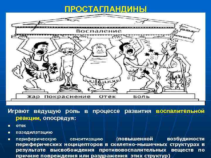 ПРОСТАГЛАНДИНЫ Играют ведущую роль в процессе развития воспалительной реакции, опосредуя: n n n отек