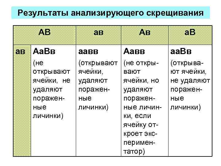 Результаты анализирующего скрещивания АВ ав Аа. Вв (не открывают ячейки, не удаляют пораженные личинки)