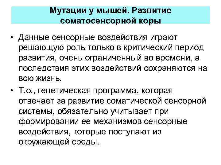 Мутации у мышей. Развитие соматосенсорной коры • Данные сенсорные воздействия играют решающую роль только