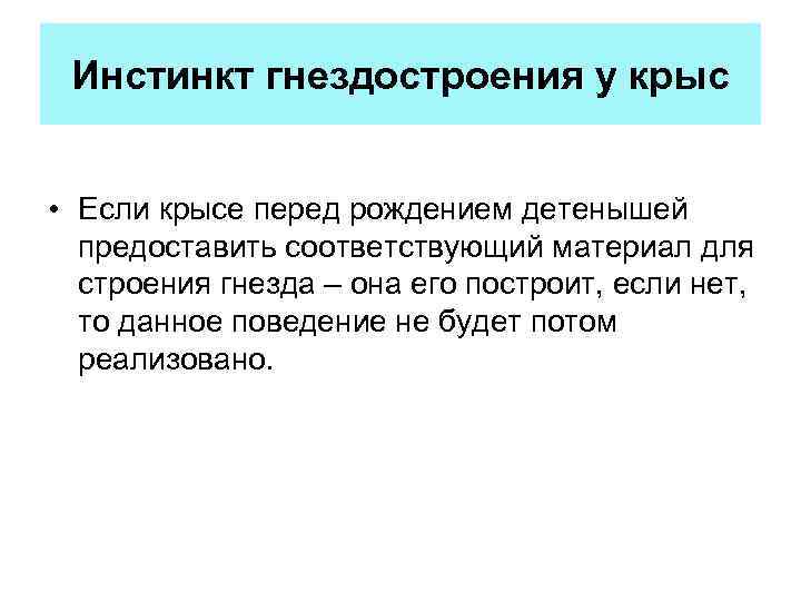 Инстинкт гнездостроения у крыс • Если крысе перед рождением детенышей предоставить соответствующий материал для