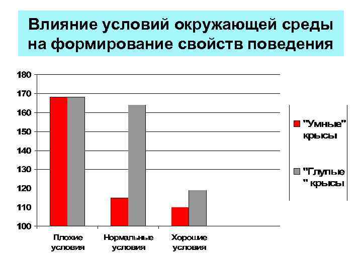 Влияние условий окружающей среды на формирование свойств поведения 