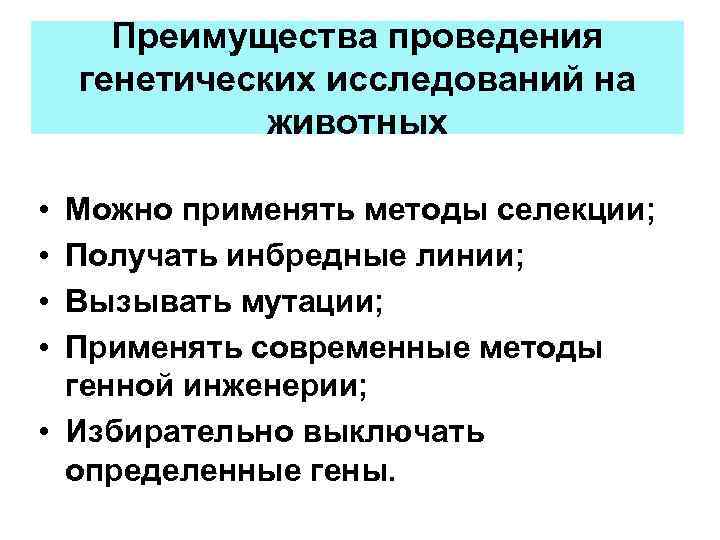 Преимущества проведения генетических исследований на животных • • Можно применять методы селекции; Получать инбредные