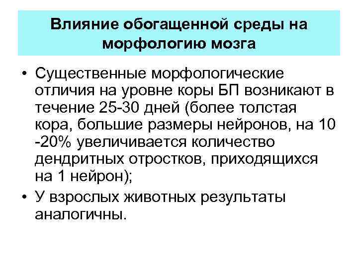 Влияние обогащенной среды на морфологию мозга • Существенные морфологические отличия на уровне коры БП