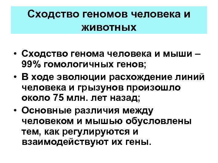 Сходство геномов человека и животных • Сходство генома человека и мыши – 99% гомологичных