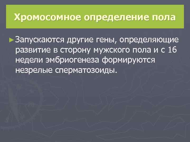 Хромосомное определение пола ► Запускаются другие гены, определяющие развитие в сторону мужского пола и