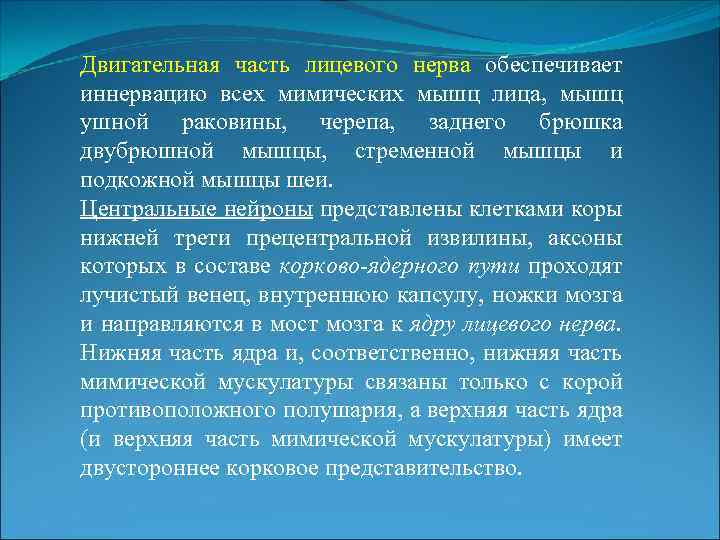 Двигательная часть лицевого нерва обеспечивает иннервацию всех мимических мышц лица, мышц ушной раковины, черепа,