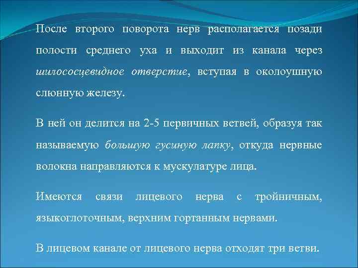 После второго поворота нерв располагается позади полости среднего уха и выходит из канала через