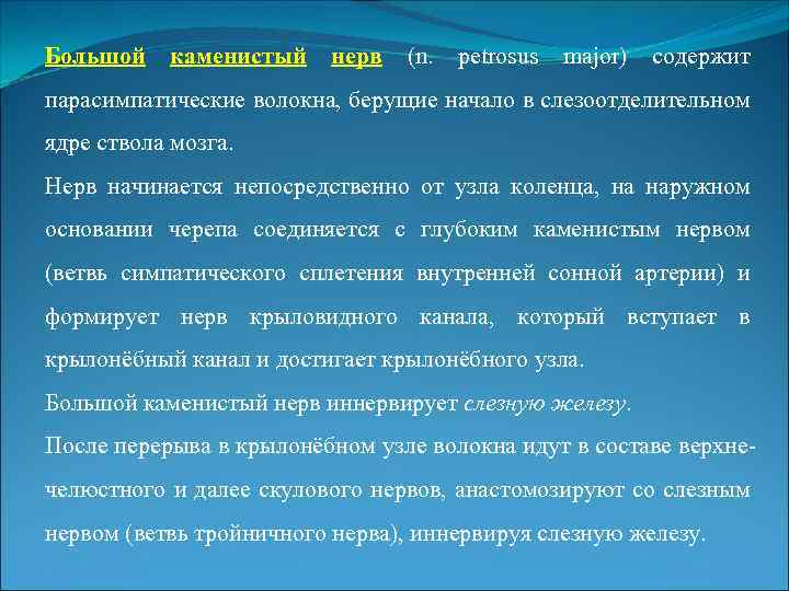 Большой каменистый нерв (n. petrosus major) содержит парасимпатические волокна, берущие начало в слезоотделительном ядре