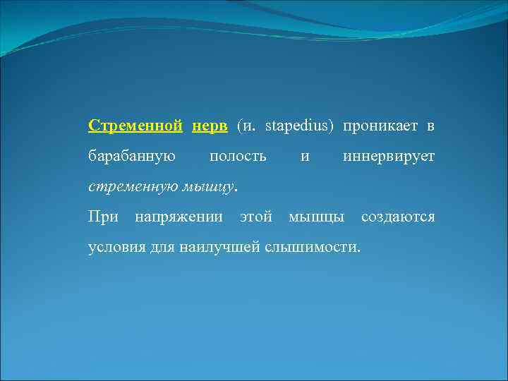 Стременной нерв (и. stapedius) проникает в барабанную полость и иннервирует стременную мышцу. При напряжении
