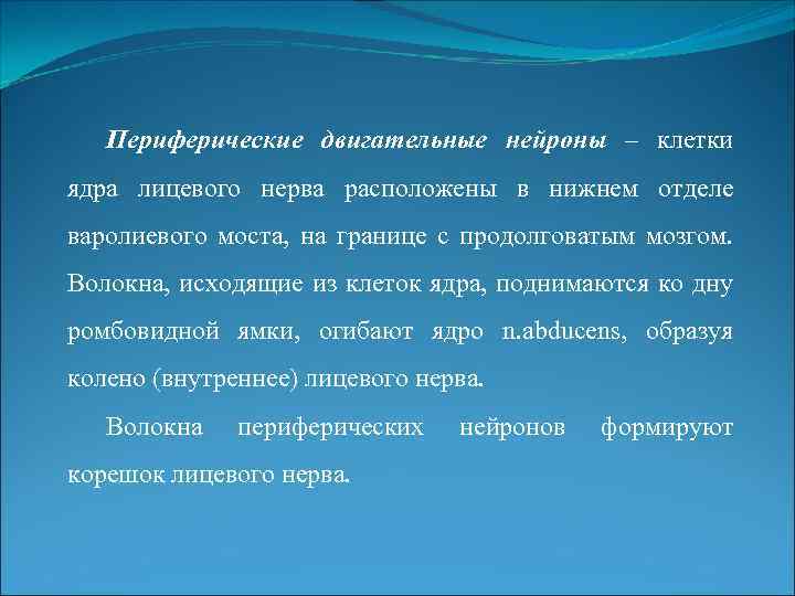 Периферические двигательные нейроны – клетки ядра лицевого нерва расположены в нижнем отделе варолиевого моста,