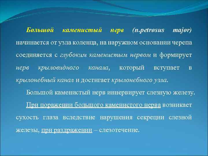 Большой каменистый нерв (n. petrosus major) начинается от узла коленца, на наружном основании черепа