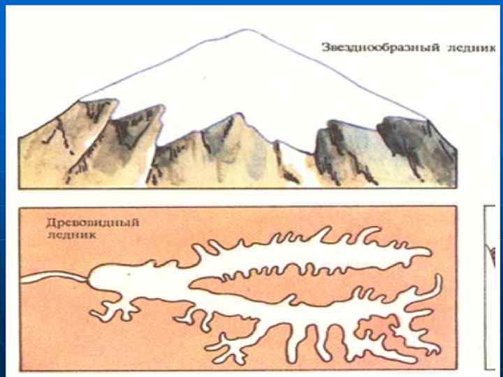 Какой природный процесс отображен на схеме снеговая линия фирновый бассейн