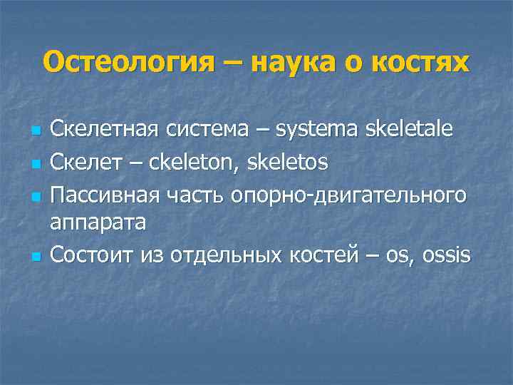 Остеология – наука о костях n n Скелетная система – systema skeletale Cкелет –