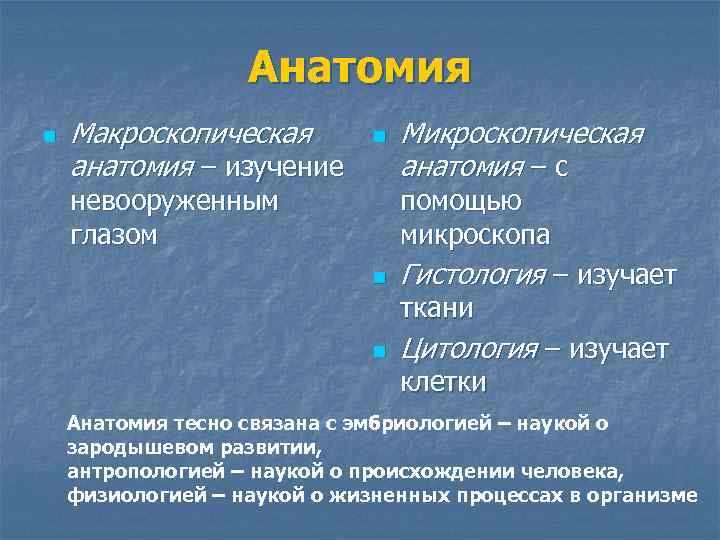 Анатомия n Макроскопическая анатомия – изучение n невооруженным глазом Микроскопическая анатомия – с помощью