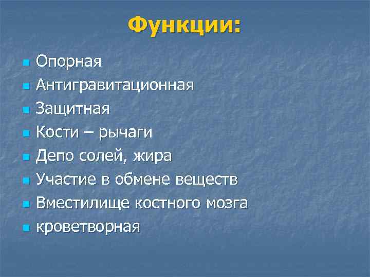 Функции: n n n n Опорная Антигравитационная Защитная Кости – рычаги Депо солей, жира