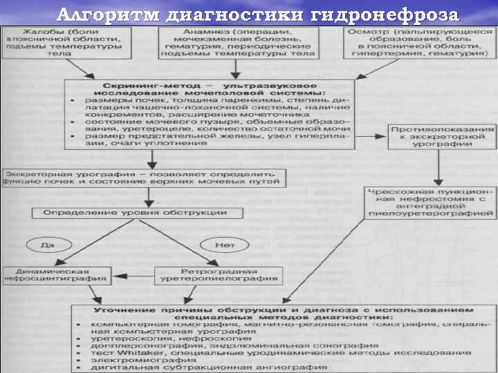Алгоритм диагностики гидронефроза 