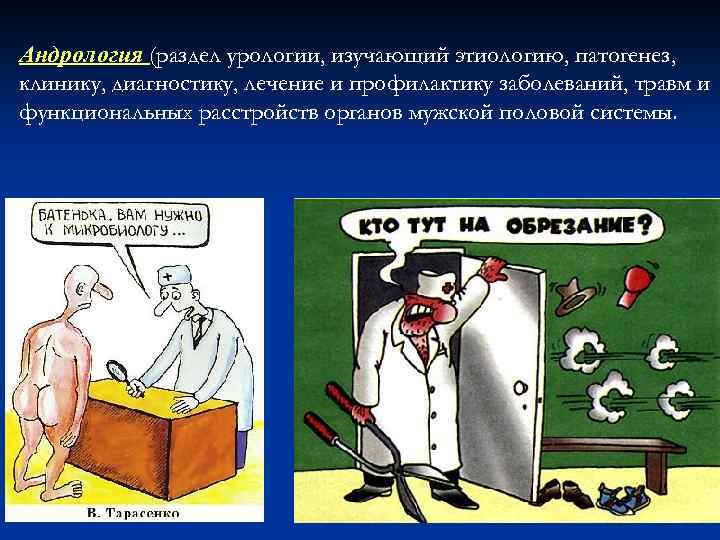 Андрология (раздел урологии, изучающий этиологию, патогенез, клинику, диагностику, лечение и профилактику заболеваний, травм и