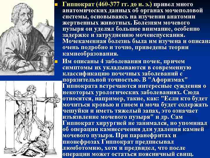 n n Гиппократ (460 377 гг. до н. э. ) привел много анатомических данных