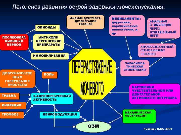 Патогенез развития острой задержки мочеиспускания. ОПИОИДЫ ПОСЛЕОПЕРА ЦИОННЫЙ ПЕРИОД ИШЕМИЯ ДЕТРУЗОРА, ДЕГЕНЕРАЦИЯ АКСОНОВ АНТИХОЛИ