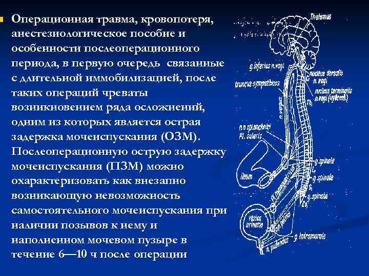 n Операционная травма, кровопотеря, анестезиологическое пособие и особенности послеоперационного периода, в первую очередь связанные