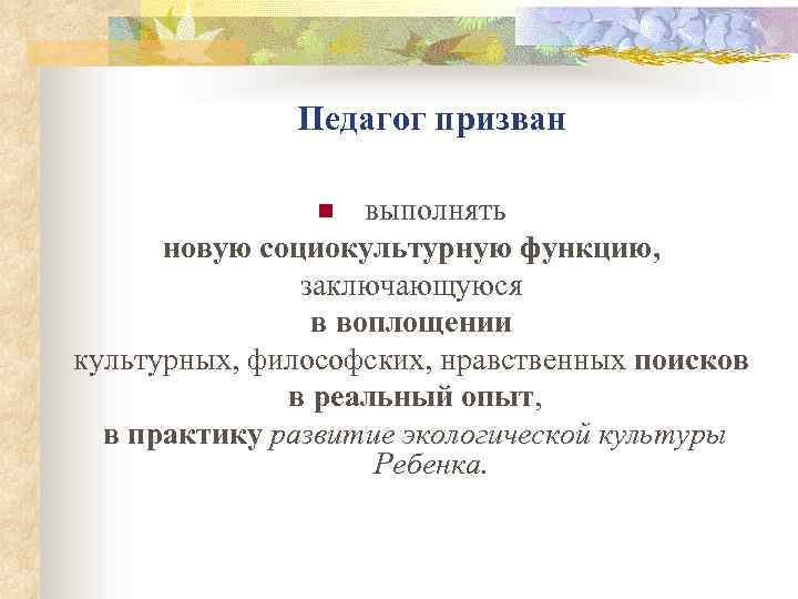 Педагог призван выполнять новую социокультурную функцию, заключающуюся в воплощении культурных, философских, нравственных поисков в