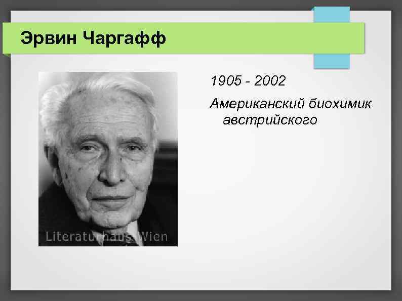 Эрвин Чаргафф 1905 - 2002 Американский биохимик австрийского 